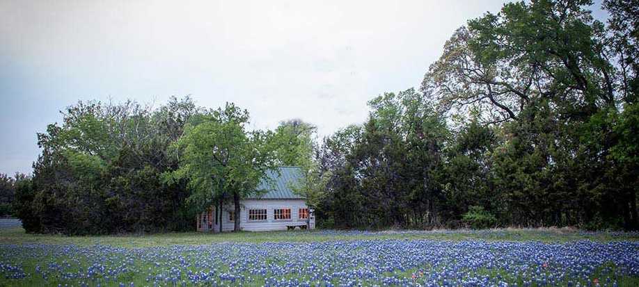 white chapel in a field of bluebonnets